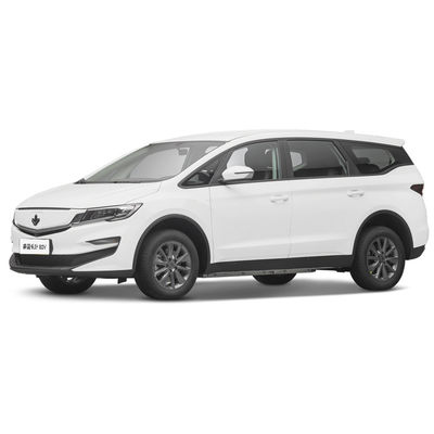 قیمت خوب 2023 لوکس 4 صندلی اتومبیل الکتریکی Lifan Maple Leaf 80v ماشین انرژی بزرگسال 139L حجم چمدان آنلاین