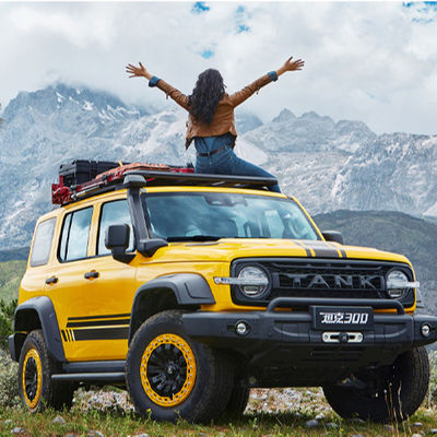 قیمت خوب 2023 حداکثر سرعت 160km/h Changcheng Great Wall تانک 300 SUV اتومبیل اتومبیل 0km اتومبیل های مورد استفاده SUV 2.0T Compact Suv Sedan فروش آنلاین