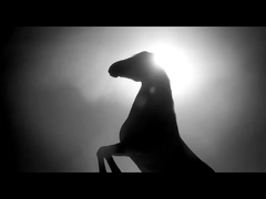 خودروی بنزینی