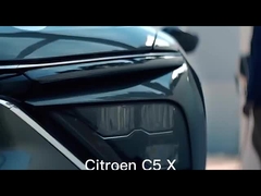 خودروی بنزینی