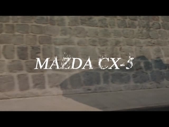 خودروی بنزینی